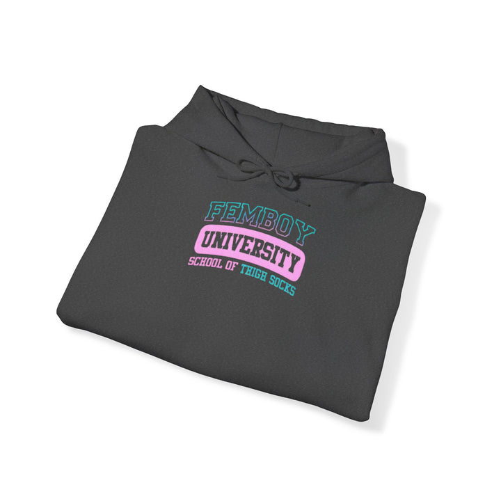 Welcome to Femboy University - the school of thigh-highs! Premium College Hoodie - Femboyzone