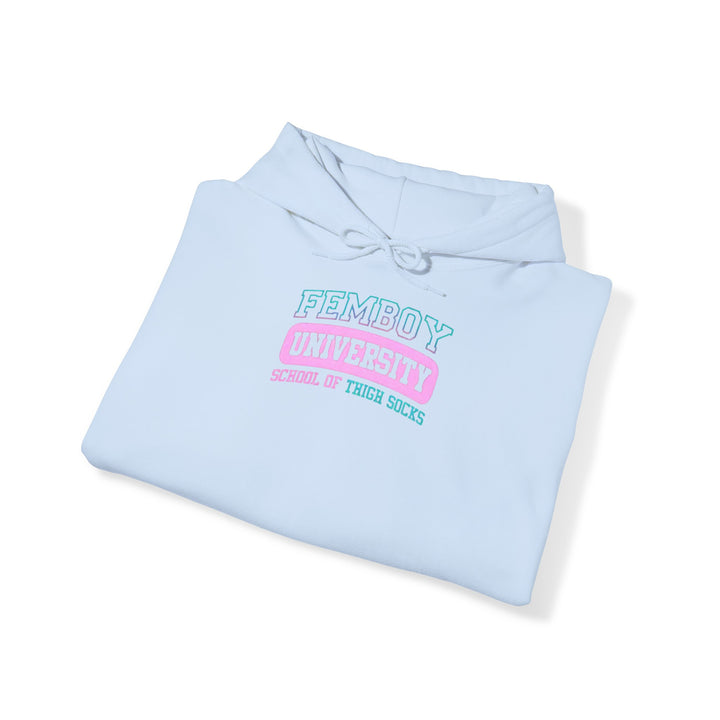 Welcome to Femboy University - the school of thigh-highs! Premium College Hoodie - Femboyzone