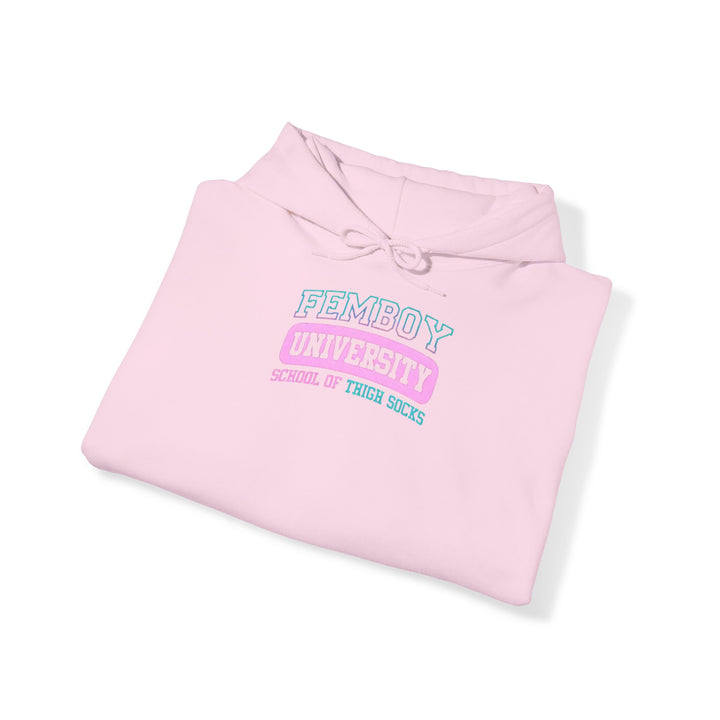 Welcome to Femboy University - the school of thigh-highs! Premium College Hoodie - Femboyzone