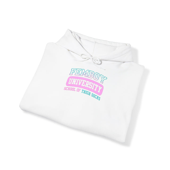 Welcome to Femboy University - the school of thigh-highs! Premium College Hoodie - Femboyzone