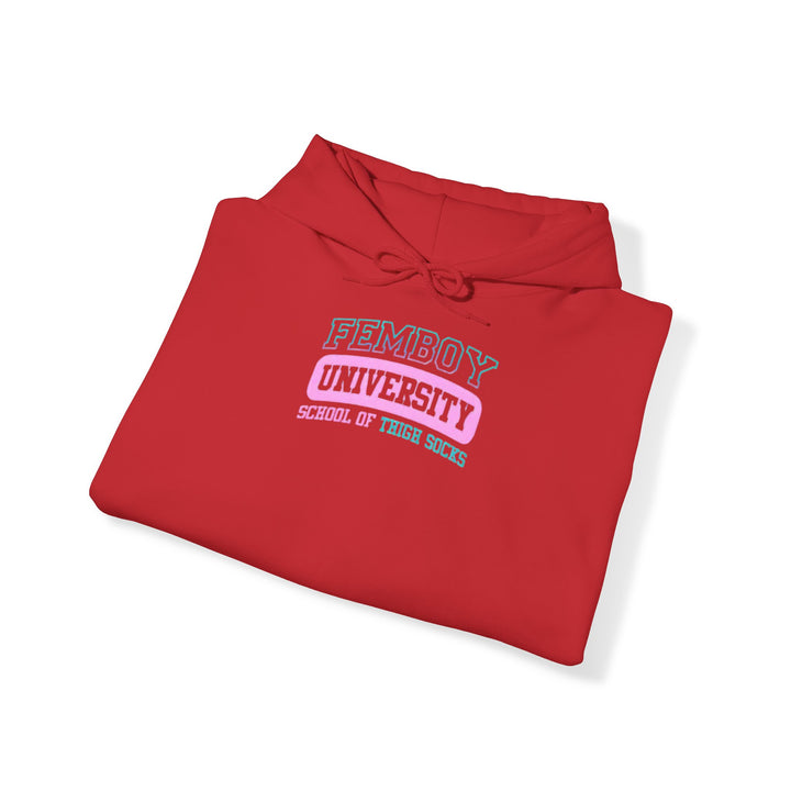 Welcome to Femboy University - the school of thigh-highs! Premium College Hoodie - Femboyzone