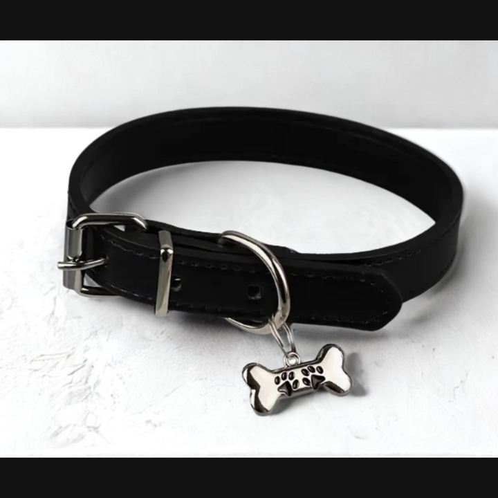 Femboy Puppy Choker - Stop i am not a Dog